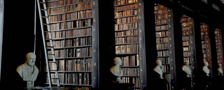 الأكاديميا وعظمة كلمة "معرفش" 3 الأكاديميا وعظمة كلمة “معرفش”